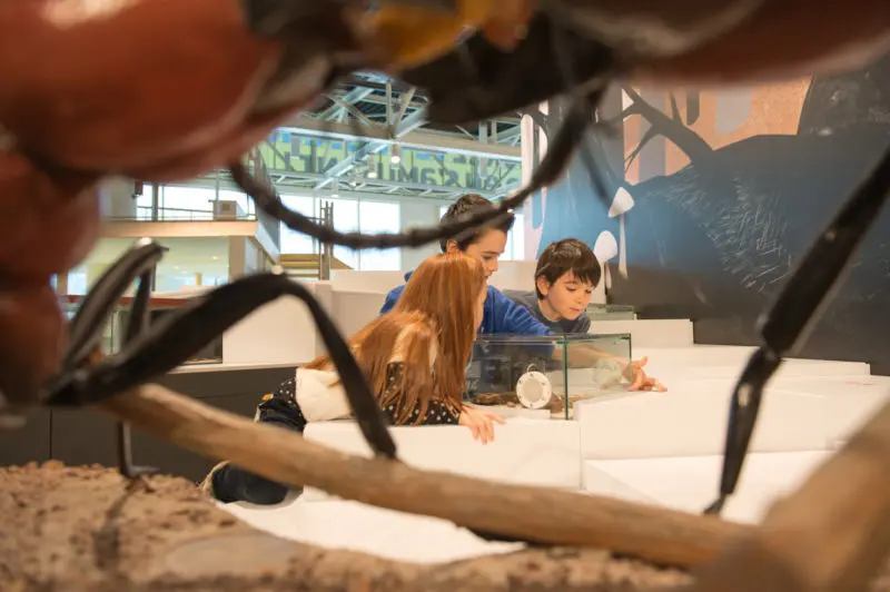 Ateliers scientifiques au Vaisseau pour enfants 10-12 ans