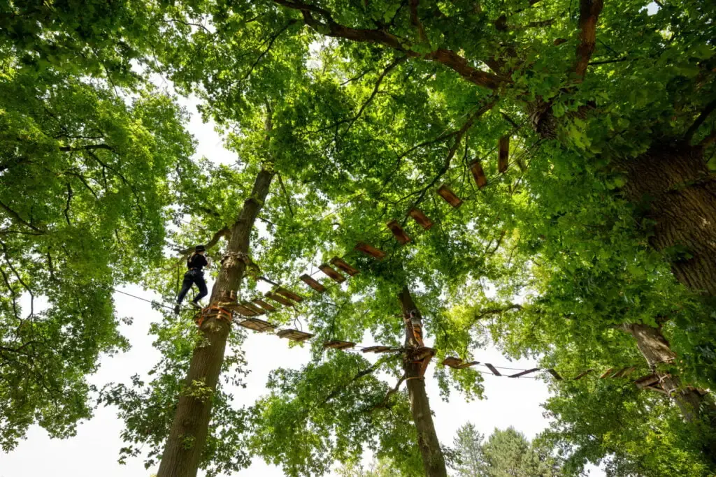 Parcours accrobranche à Brumath pour enfants