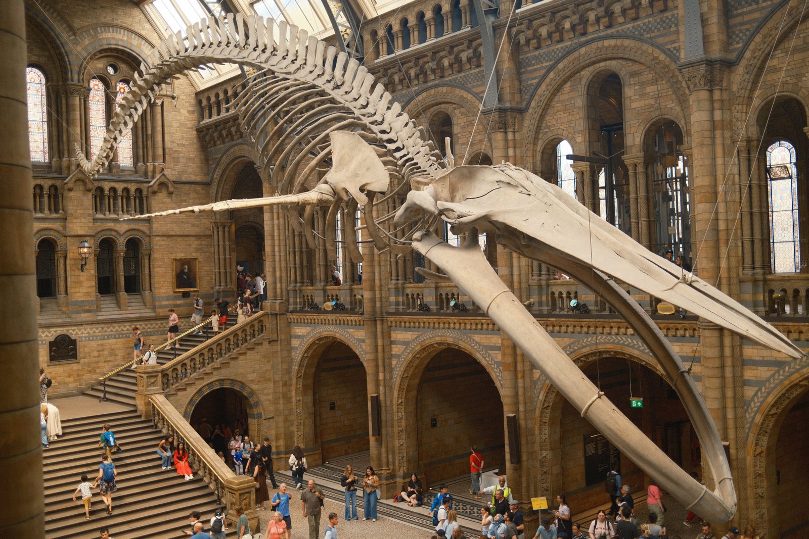 Mus&eacute;e d'histoire naturelle