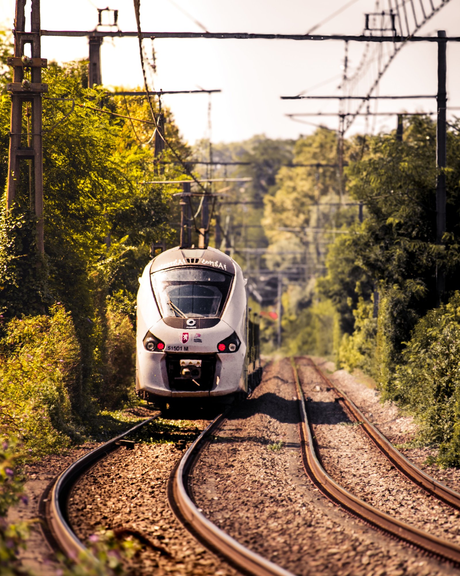 Train de voyageurs circulant sur une voie bordée de verdure
