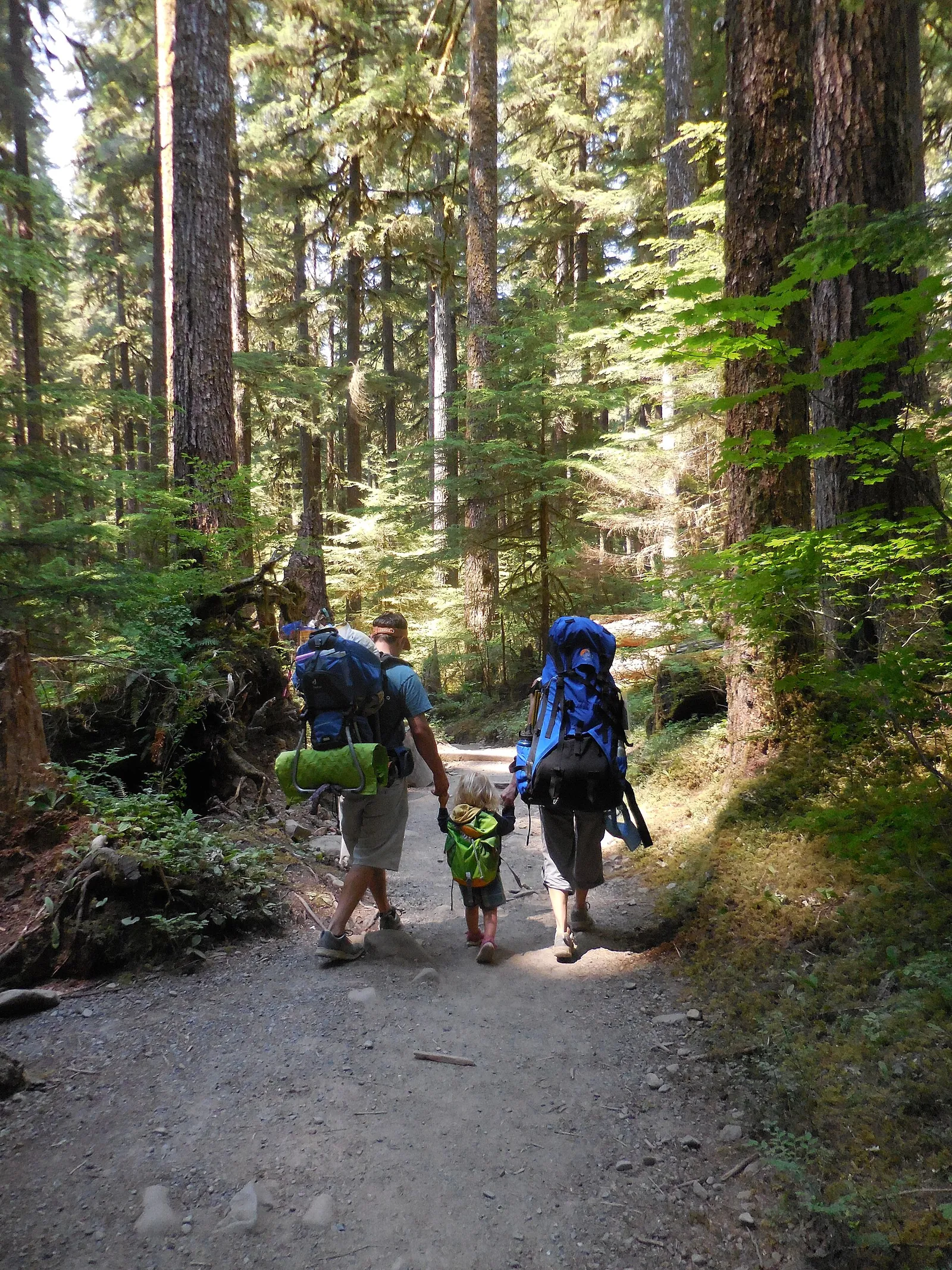 Promenade en famille sur un sentier forestier de Sol Duc, aux États-Unis