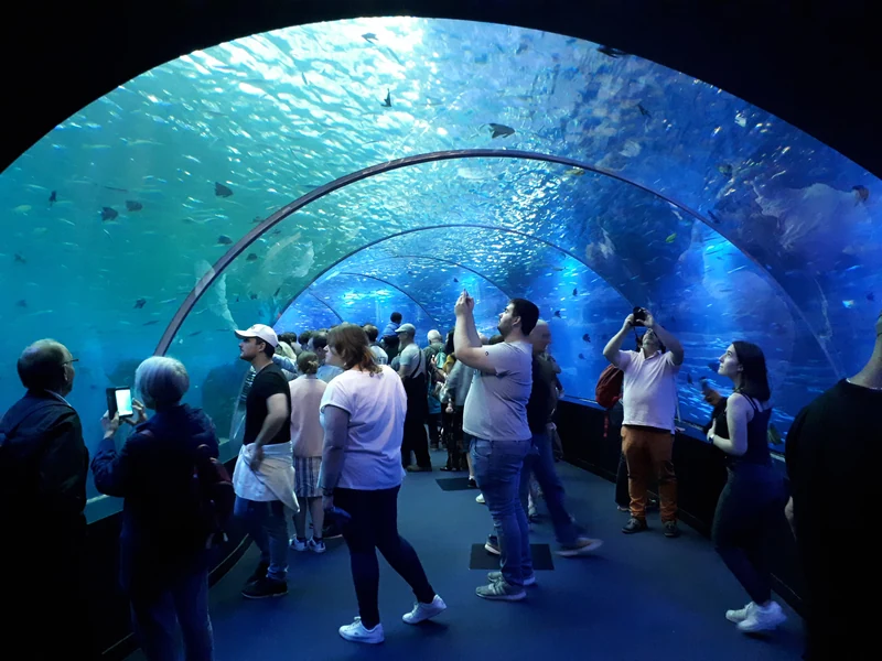 Visiteurs sous le tunnel vitré de Nausicaá, entourés de poissons