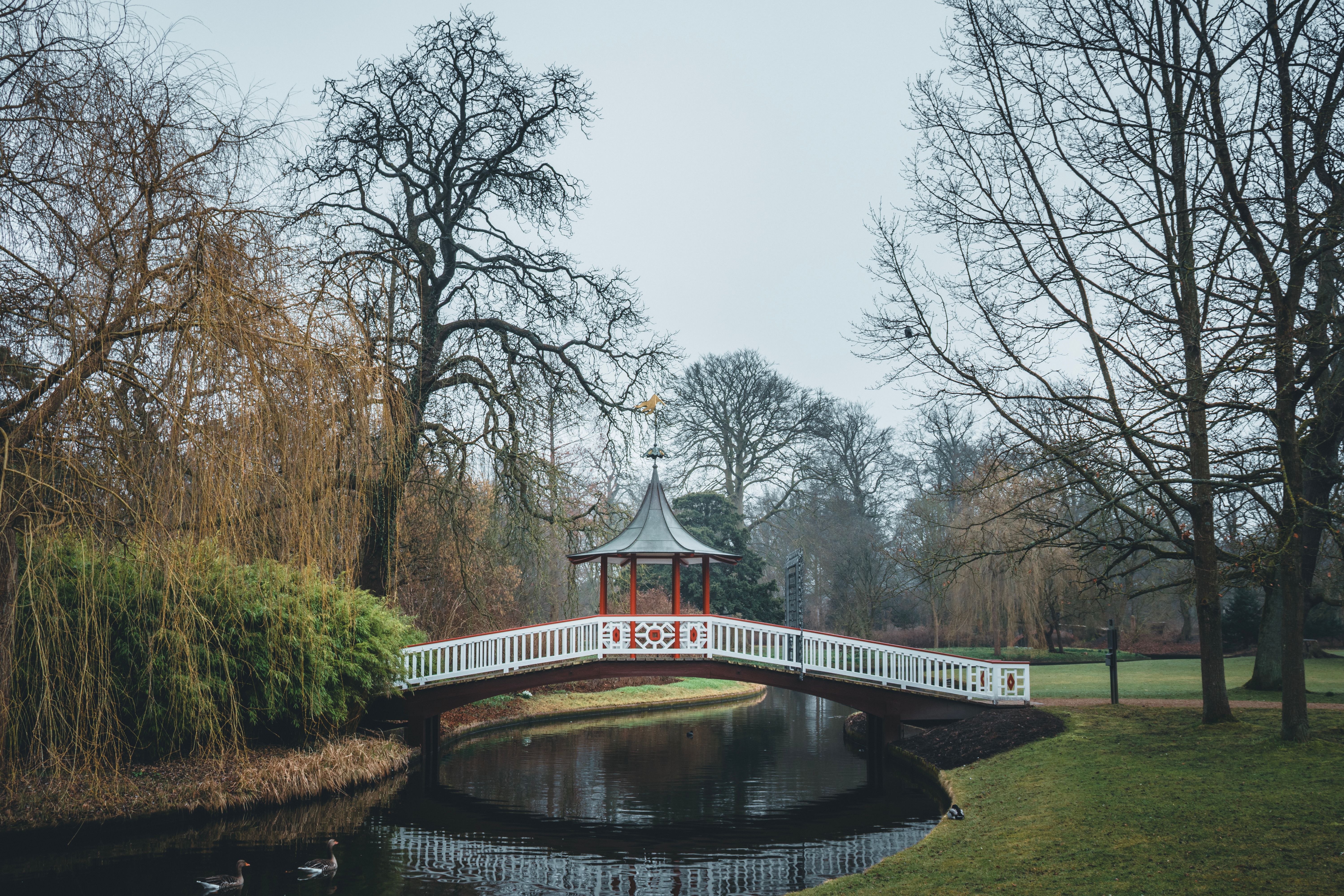 Frederiksberg Have a Copenhague