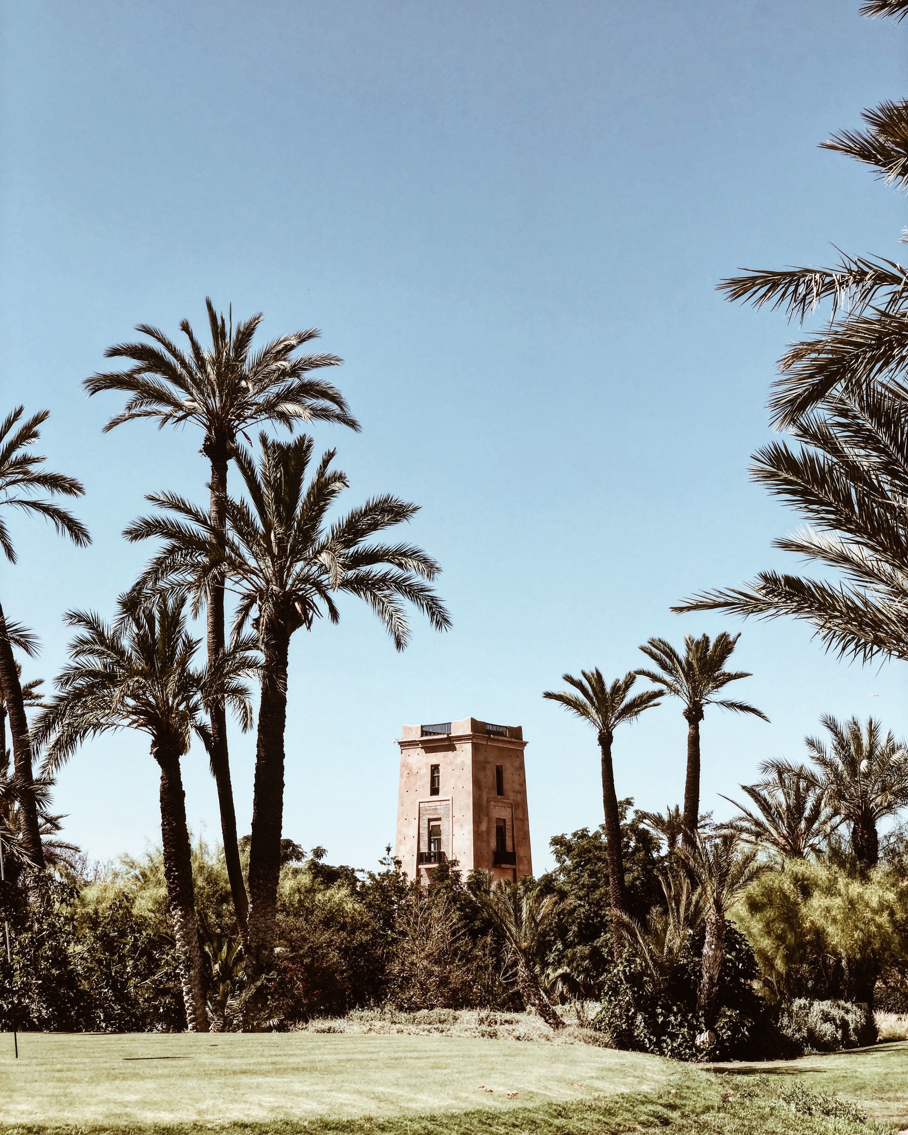 Palmeraie de Marrakech en famille
