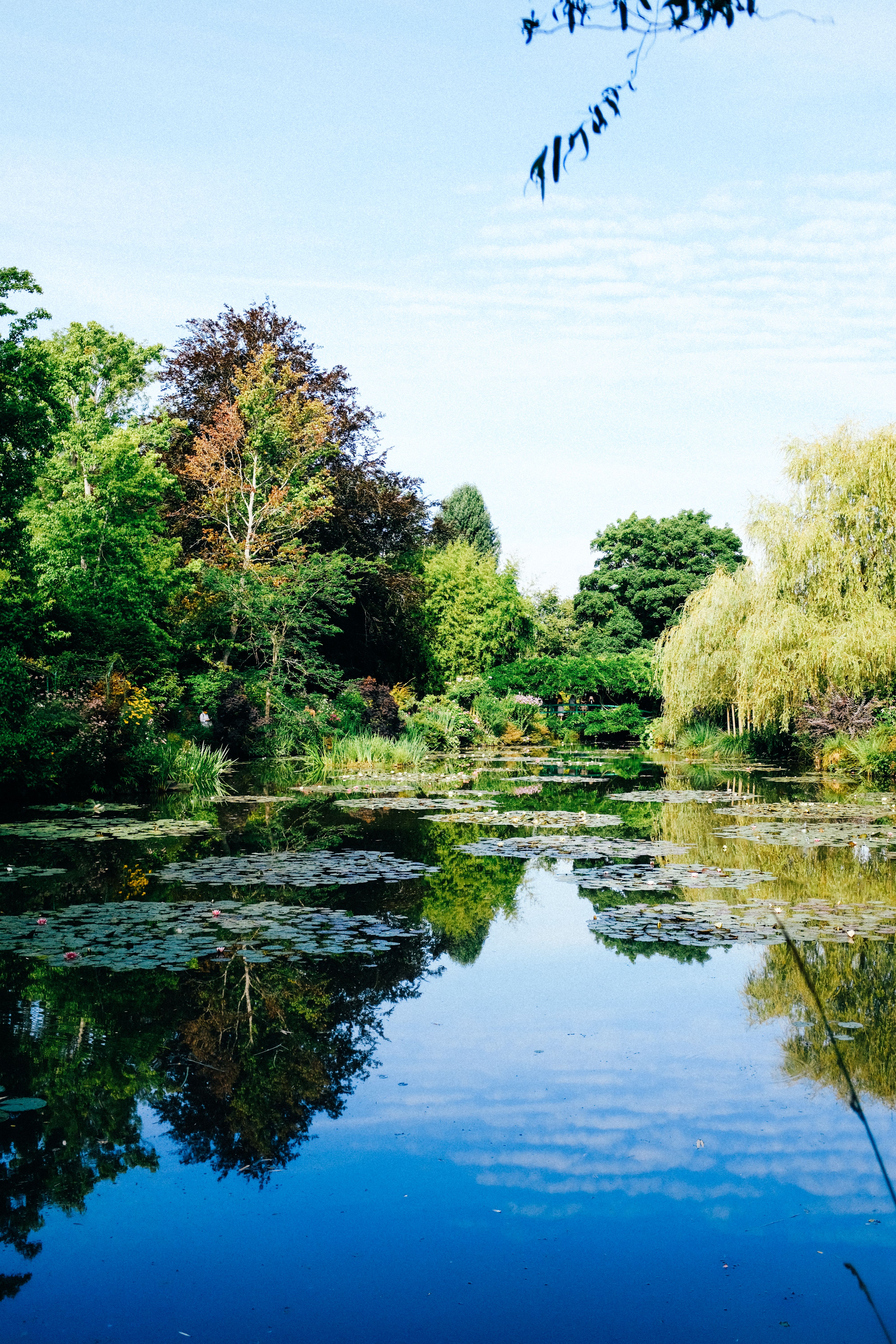 Giverny et les jardins de Monet