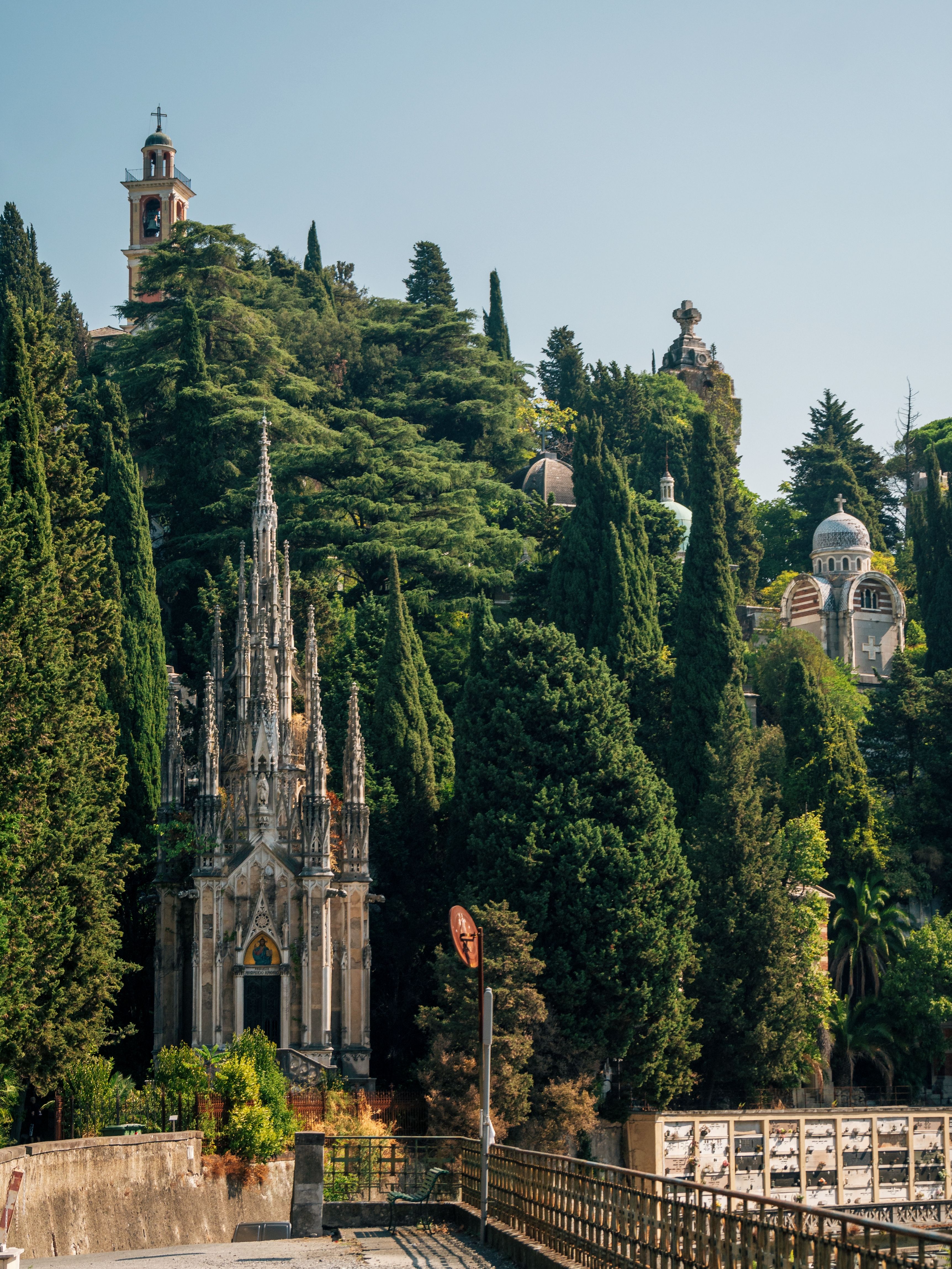 Parc arboré de la Colline du Château à Nice