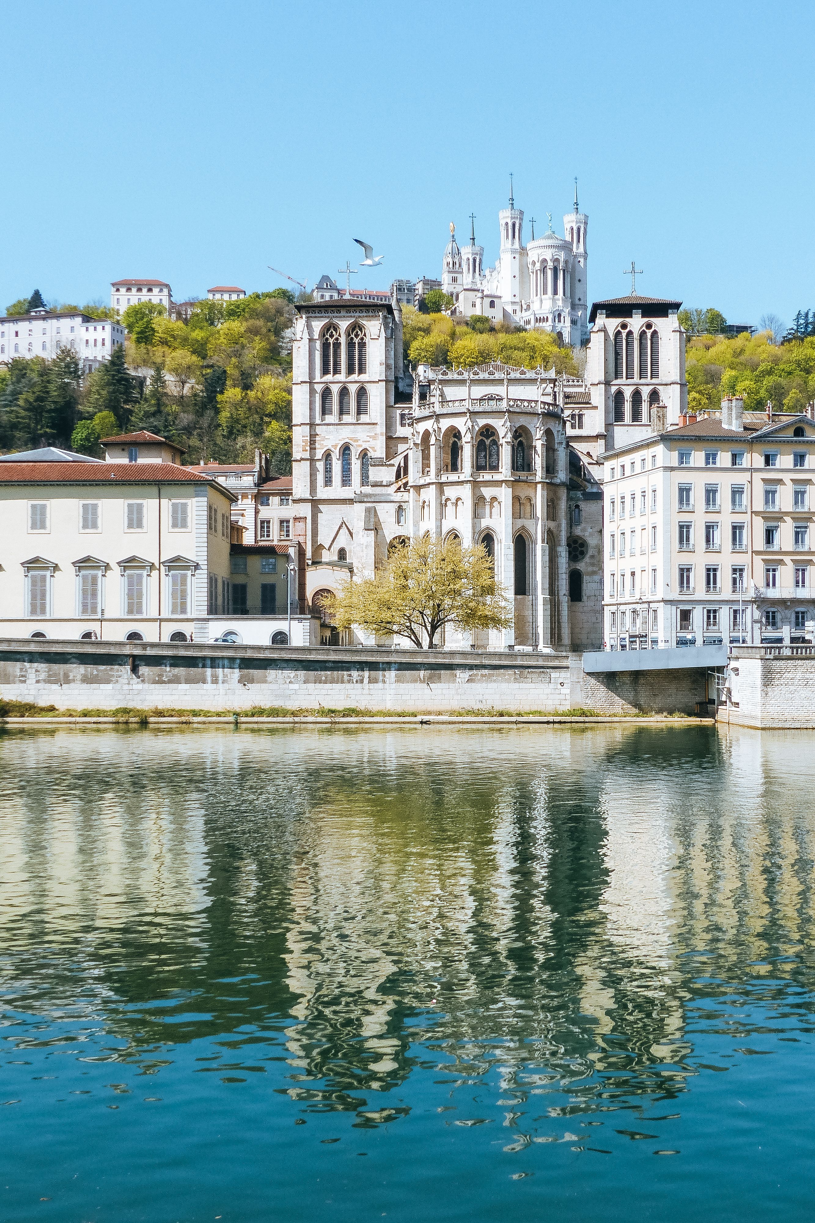 Cath&eacute;drale Saint-Jean et basilique de Fourvi&egrave;re vues depuis la Sa&ocirc;ne