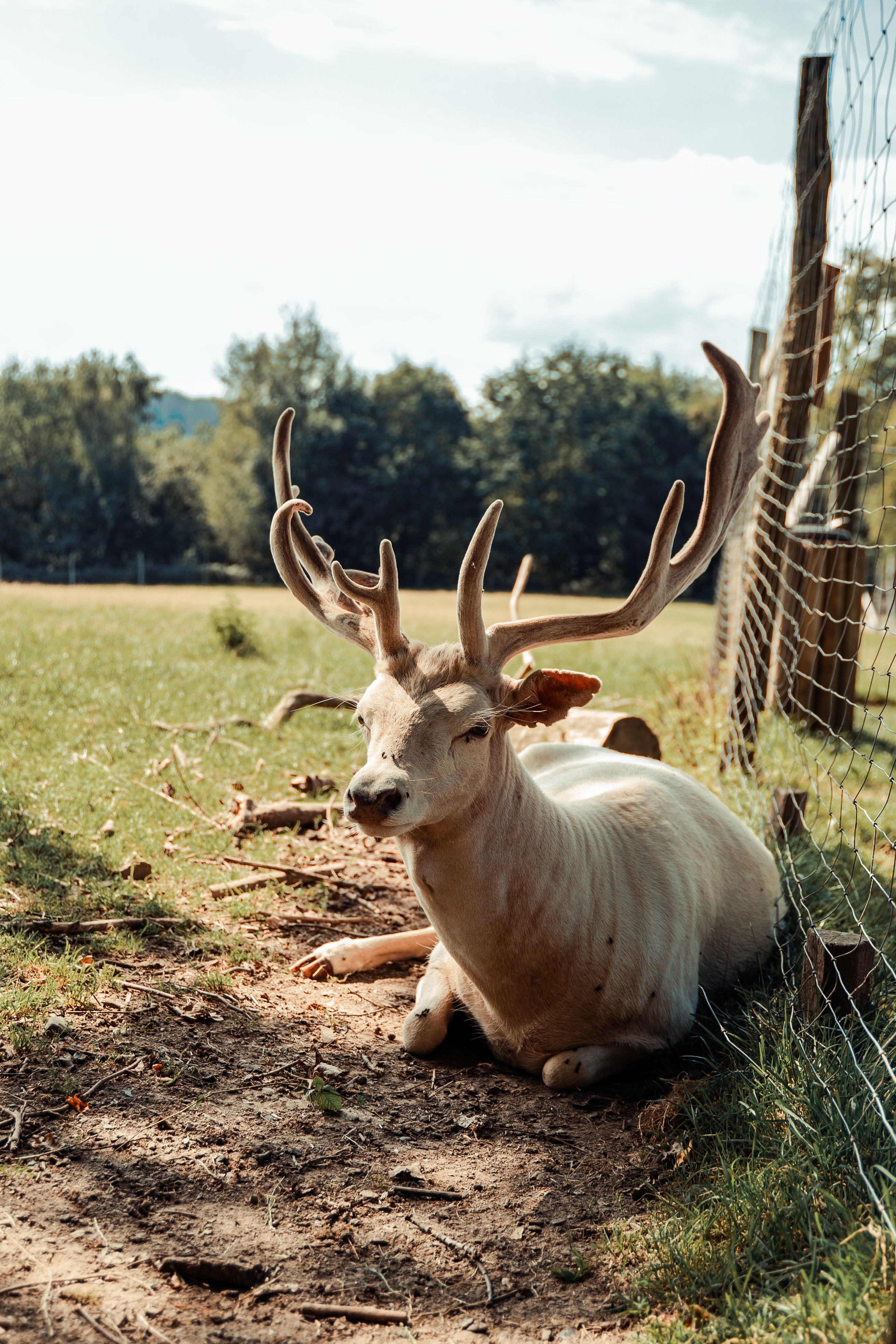 Parc animalier en pleine nature