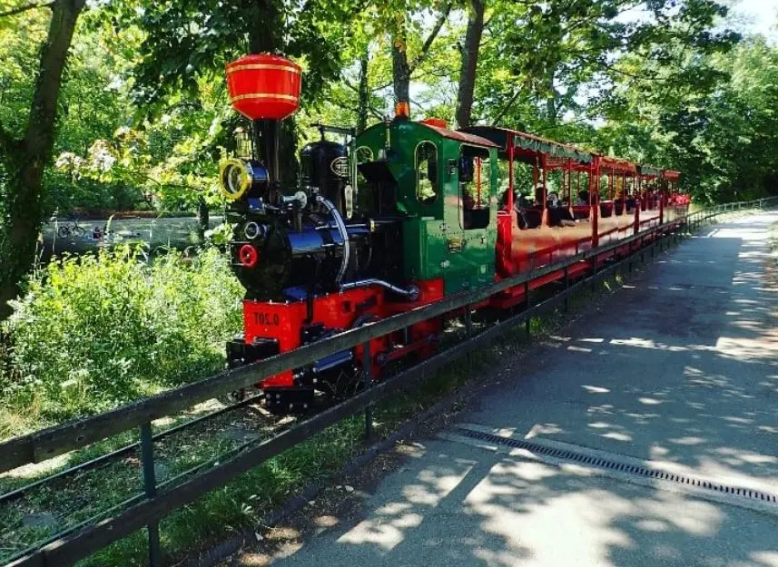 Petit train touristique à Lyon pour les jeunes enfants