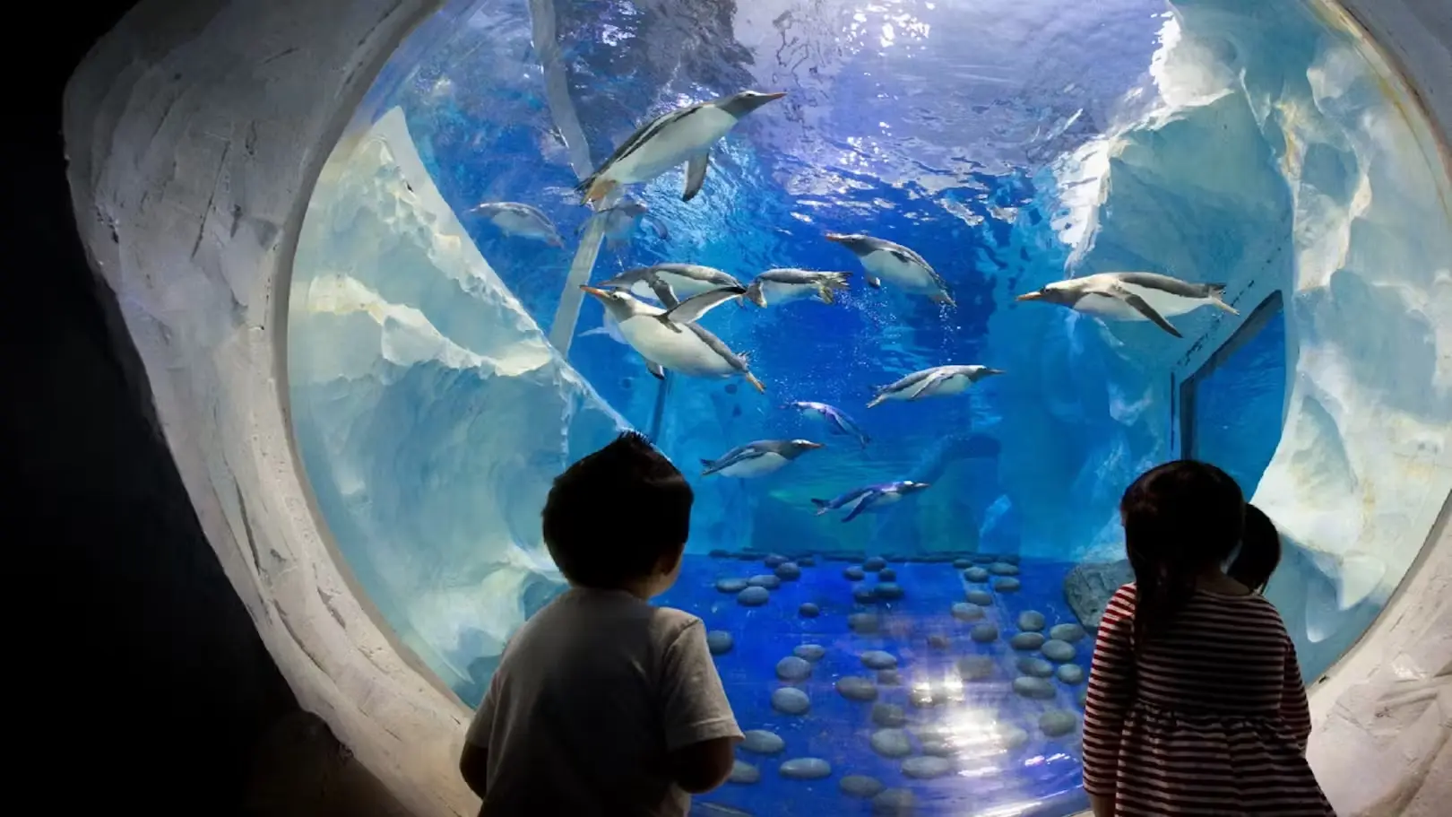 Enfants devant un aquarium à Marseille