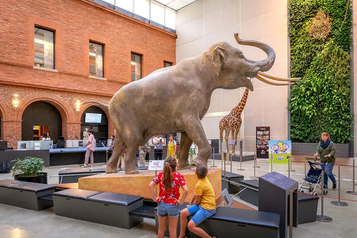 Museuem de Toulouse avec enfants