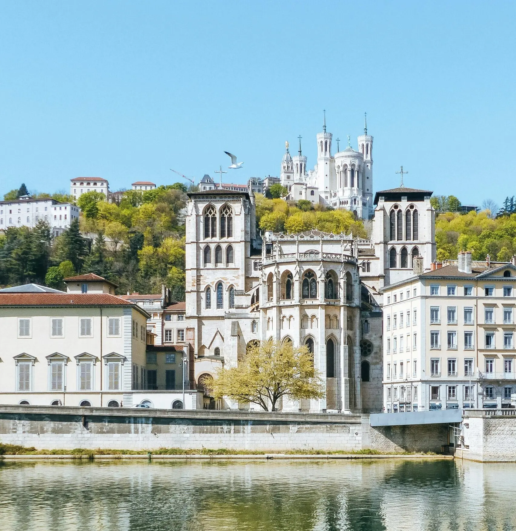 Lyon en famille : Fourvière et Saône