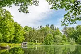 Forêt d'Ermenonville